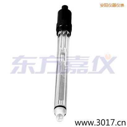 安陽(yáng)玻璃外殼鉑金環(huán)ORP電極