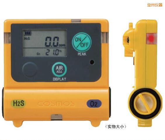 定州復(fù)合型氣體檢測器