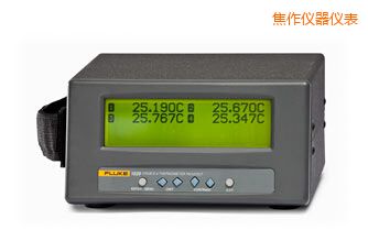 焦作四通道便攜式測(cè)溫儀