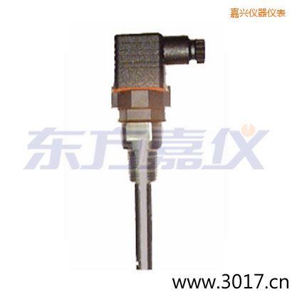 嘉興含有溫度的兩線電導率電極