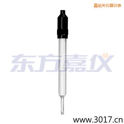 嘉峪關(guān)玻璃外殼無溫補兩線電導(dǎo)率電極