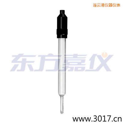 連云港玻璃外殼無溫補兩線電導(dǎo)率電極