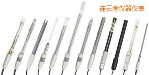 連云港電導(dǎo)電極