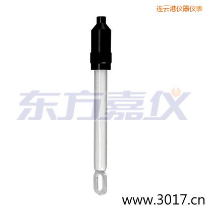 連云港無溫補兩線電導率電極