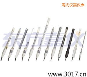 壽光離子選擇性電極